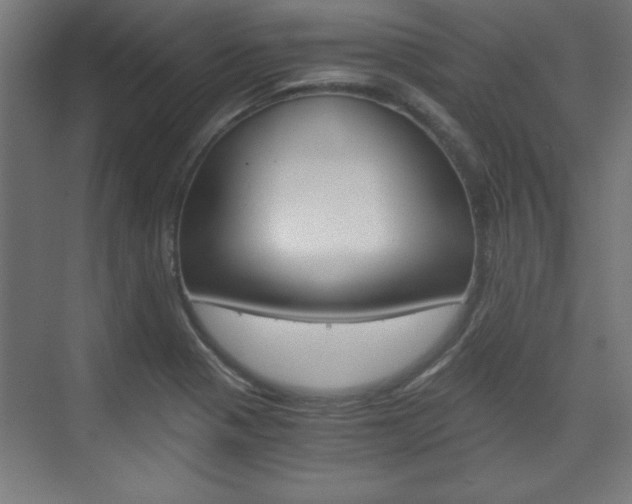 X0000075911321200609151028
