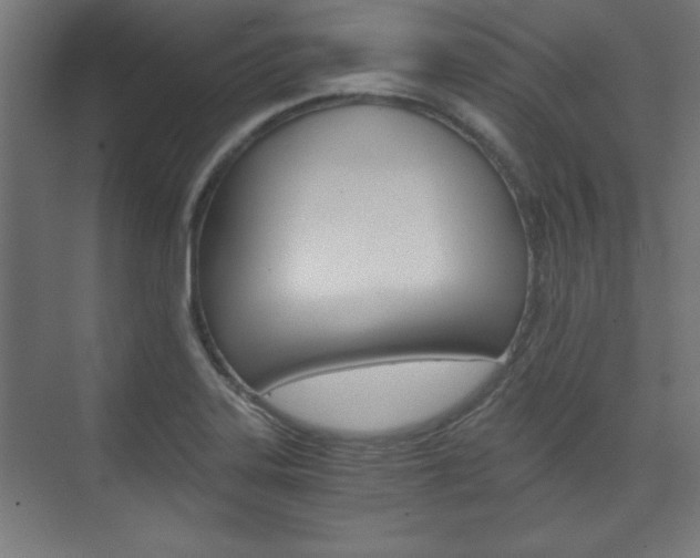 X0000075911323200609151028