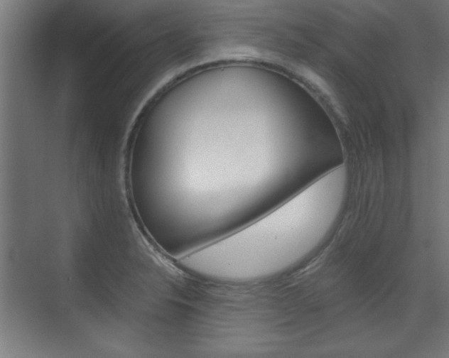 X0000075911326200609151028