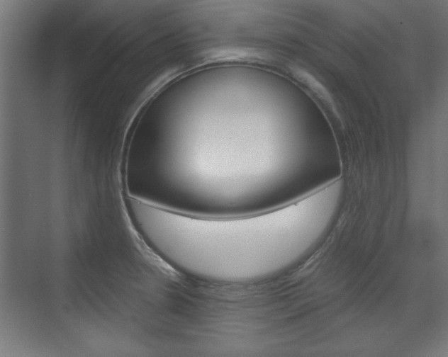 X0000075911330200609151028