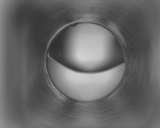 X0000075911340200609151028
