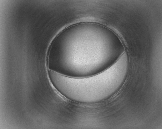 X0000075911342200609151028
