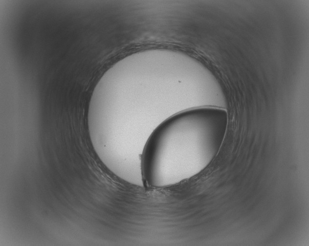 X0000075911348200609151027