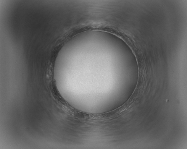 X0000075911349200609151027