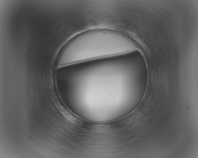 X0000075911356200609151027