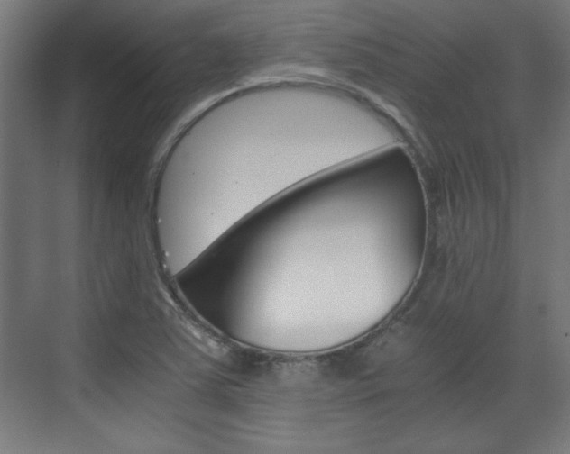 X0000075911363200609151027
