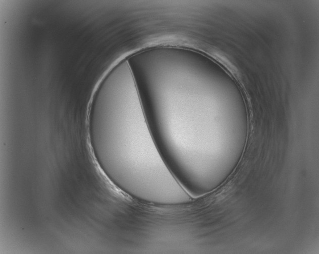 X0000075911392200609151027