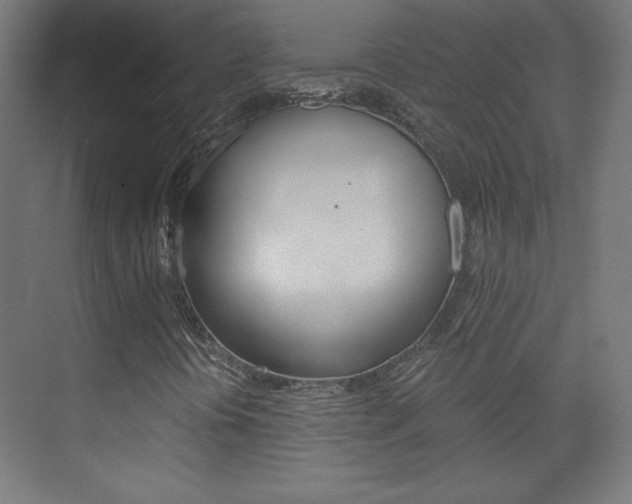 X0000075911394200609151026