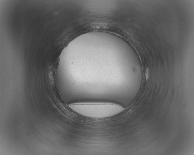 X0000075911396200609151026