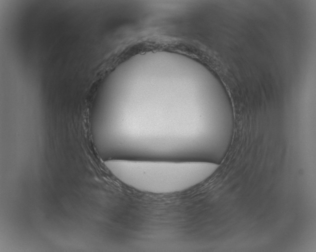 X0000075911397200609151026