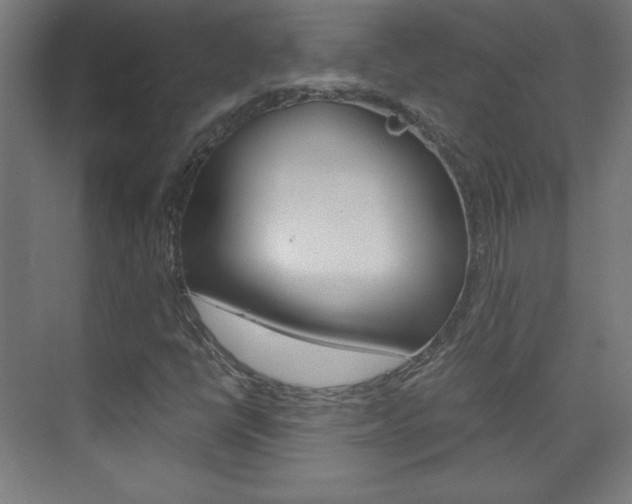X0000075911398200609151026
