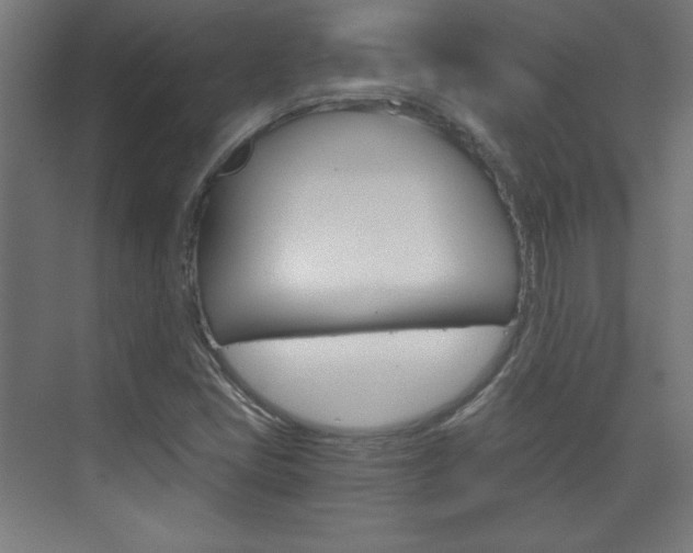 X0000075911405200609151026