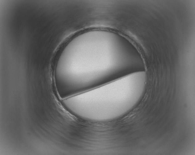 X0000075911408200609151026