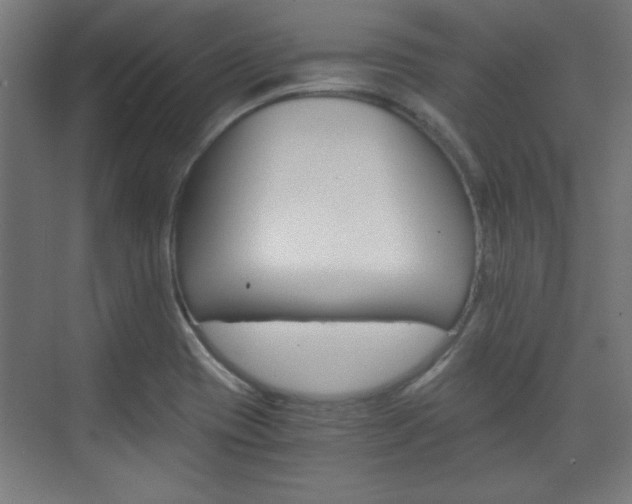 X0000075911417200609151026