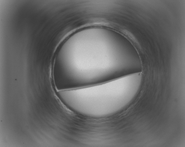 X0000075911420200609151026