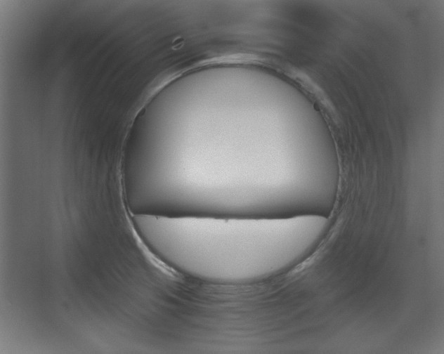 X0000075911425200609151026