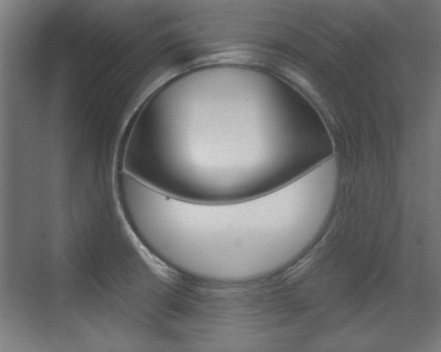 X0000075911426200609151026