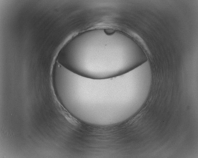 X0000075911427200609151026