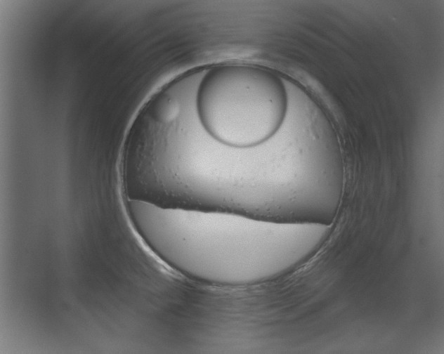 X0000075911432200609151027