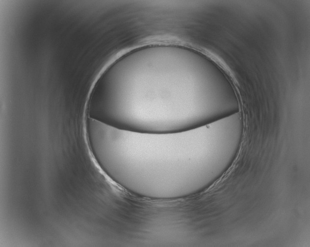 X0000075911440200609151027