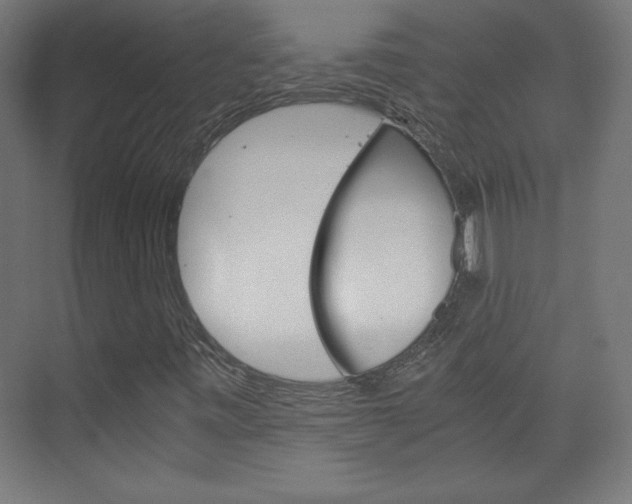 X0000075911443200609151026