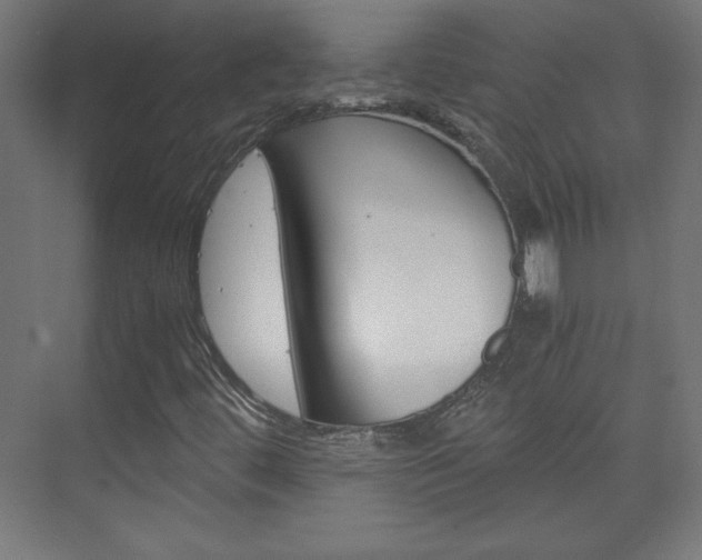 X0000075911444200609151026