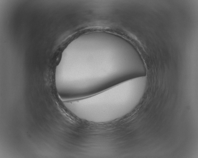 X0000075911448200609151026