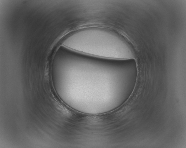X0000075911450200609151026