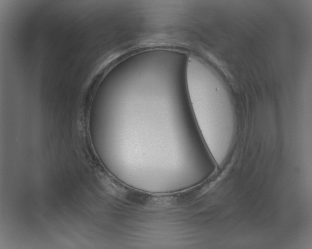 X0000075911453200609151026