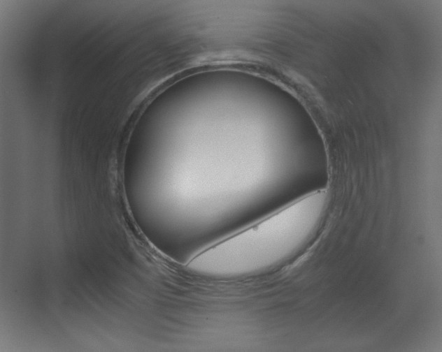 X0000075911457200609151026