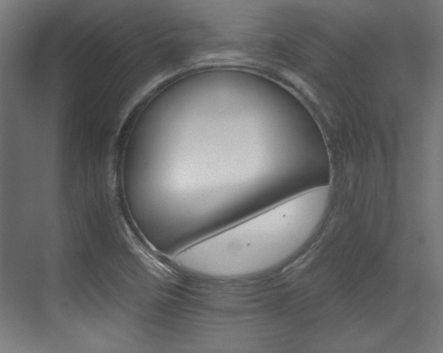 X0000075911458200609151026