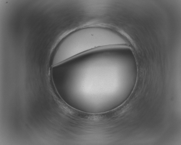 X0000075911461200609151026