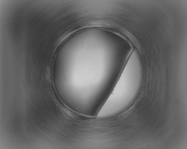 X0000075911465200609151025