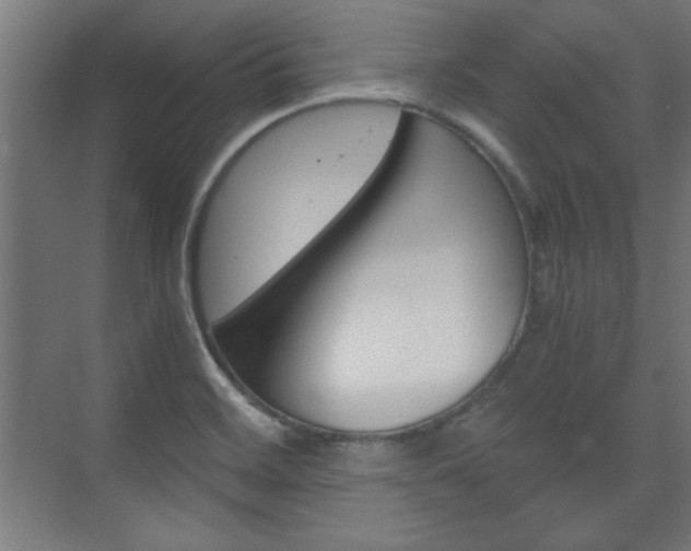 X0000075911468200609151025