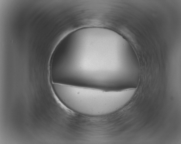 X0000075911479200609151025