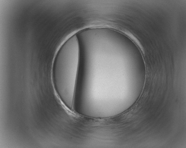 X0000075911485200609151025