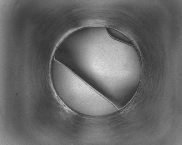 X0000075911488200609151025