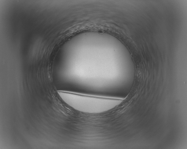 X0000075911490200609151024