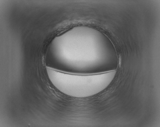 X0000075911492200609151024