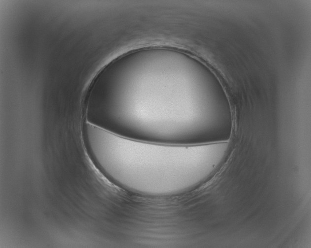 X0000075911500200609151024