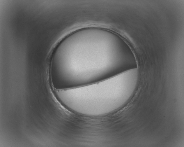 X0000075911504200609151025