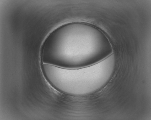 X0000075911508200609151025