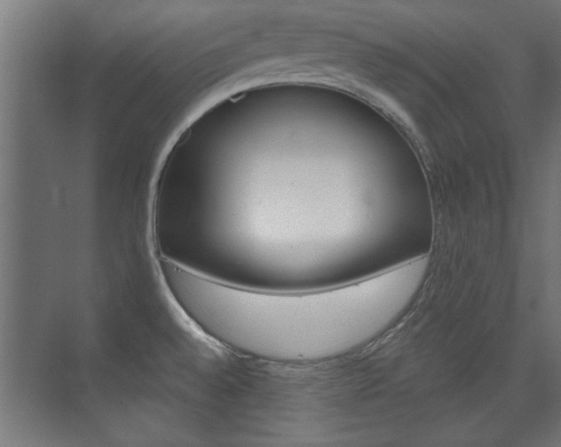 X0000075911528200609151025