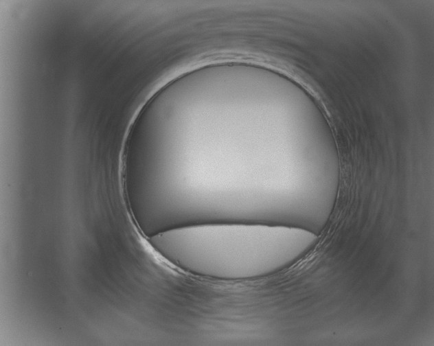 X0000075911535200609151025