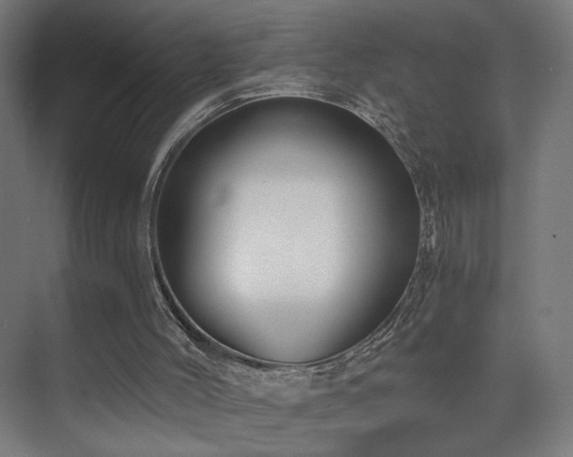 X0000075910004200609151441