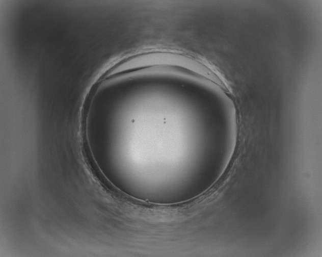 X0000075910008200609151441