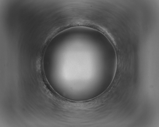 X0000075910010200609151441