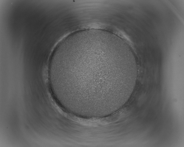 X0000075910012200609151441