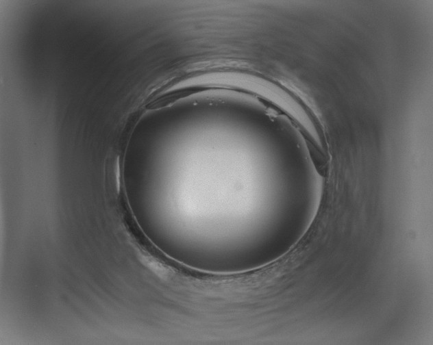X0000075910013200609151441