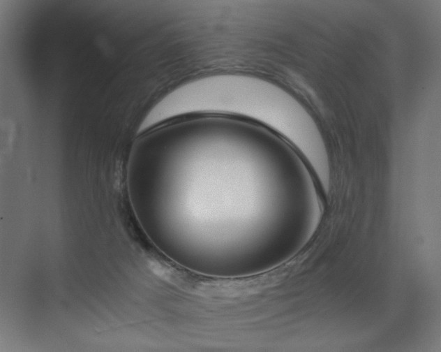 X0000075910025200609151440